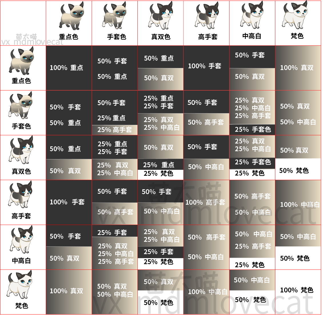 五分钟 布偶猫遗传知识全知道
