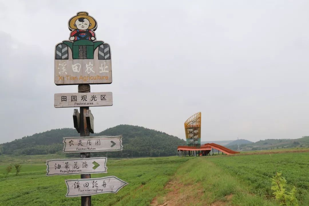 亲农 · 溪田 | 生态美,白鹭飞舞稻田间