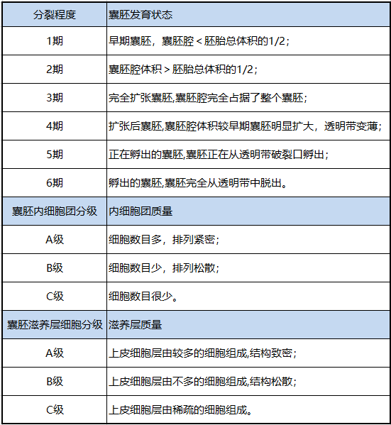 胚胎级别3bc5aa是什么意思级别低能移植成功吗