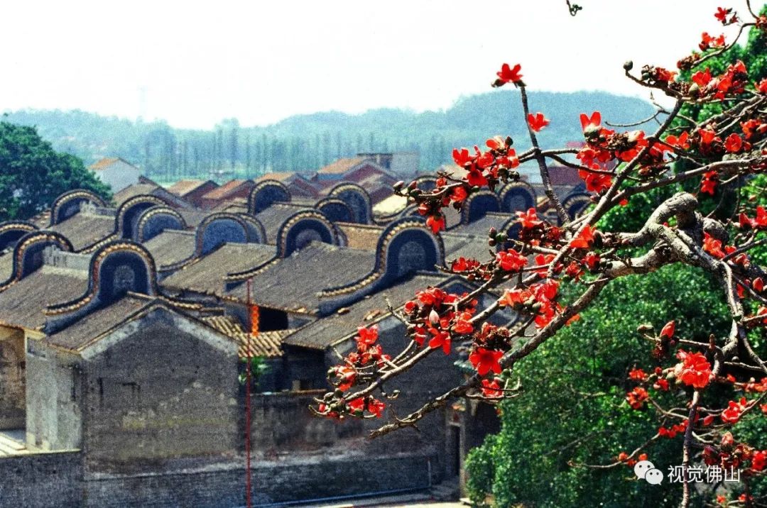 这个村子有何魔力竟能让慈禧太后赐名广东第一村