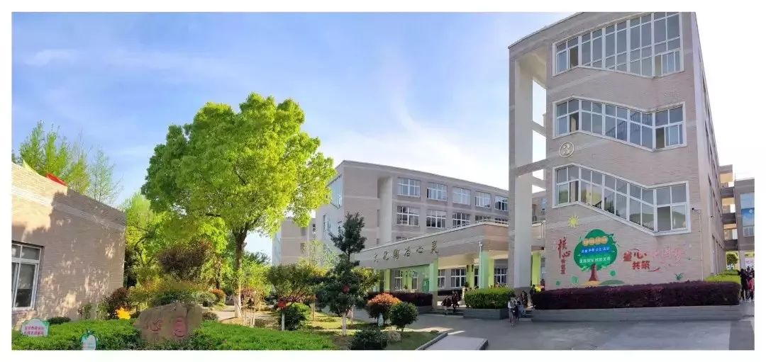 利奇马过后我们在行动三门县心湖小学清扫活动