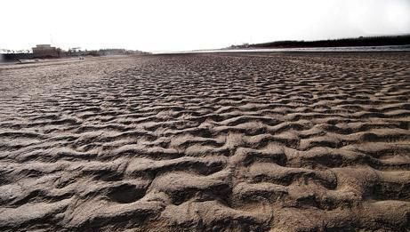 黄河因泄洪而露出河底,在河底的石洞中,竟发现一种宝贝