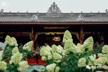 去什么香港台湾到成都3天3夜让你逛吃到嗨