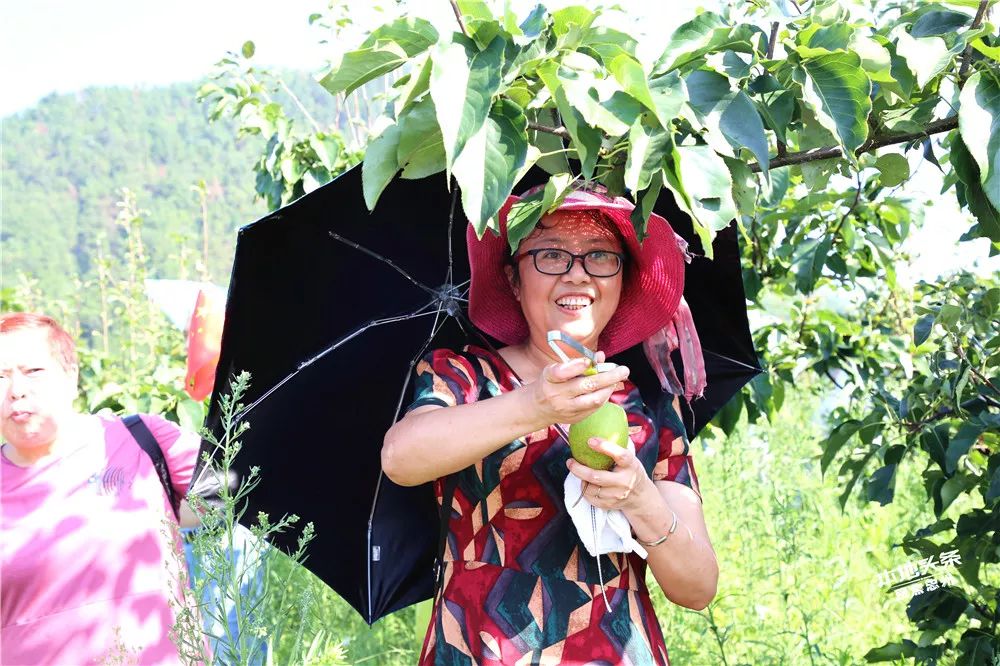 【网友e家亲】他来了,他来了!他捧着脆爽味甜的精华梨向你走来了