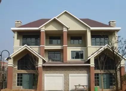 最近在红安农村发现了一批有钱人他们都住着豪宅