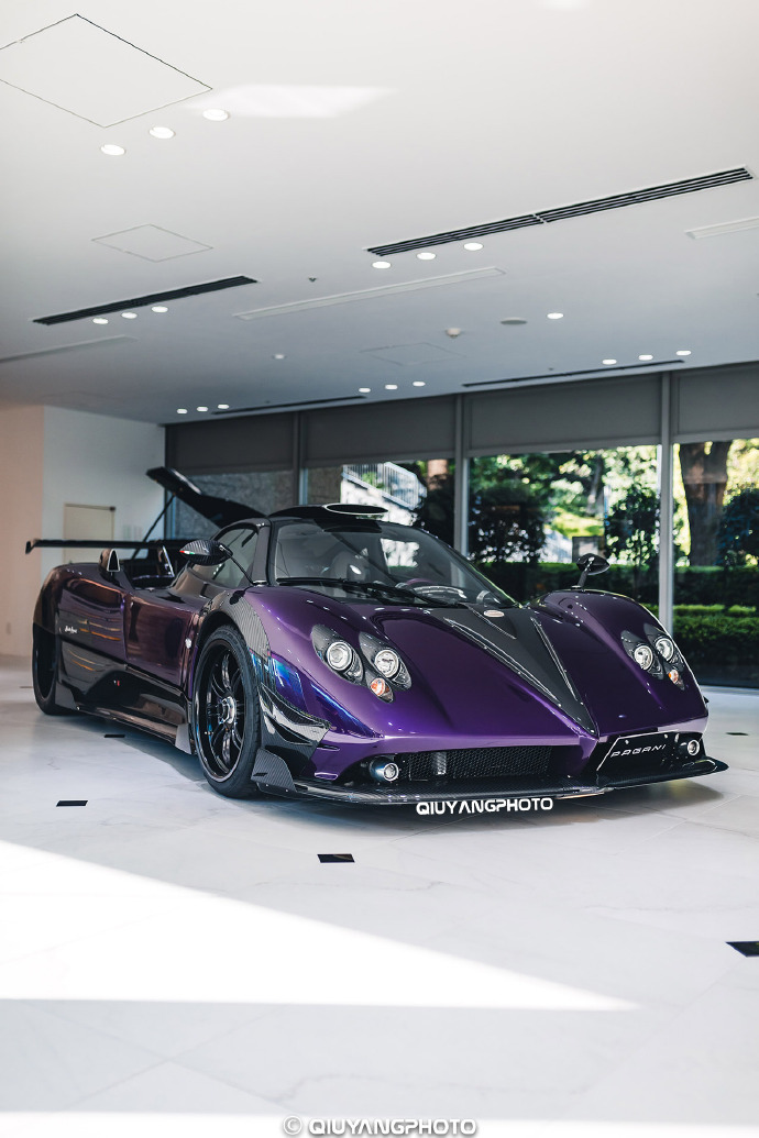 pagani zonda zozo
