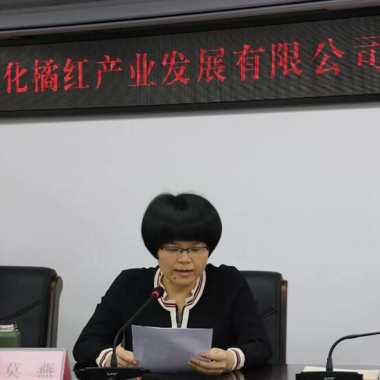 化州市人民政府副市长莫燕作会议致辞