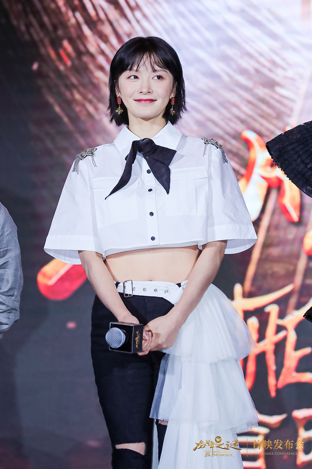 《龙牌之谜》在京举办首映礼 成龙施瓦辛格隔空互动