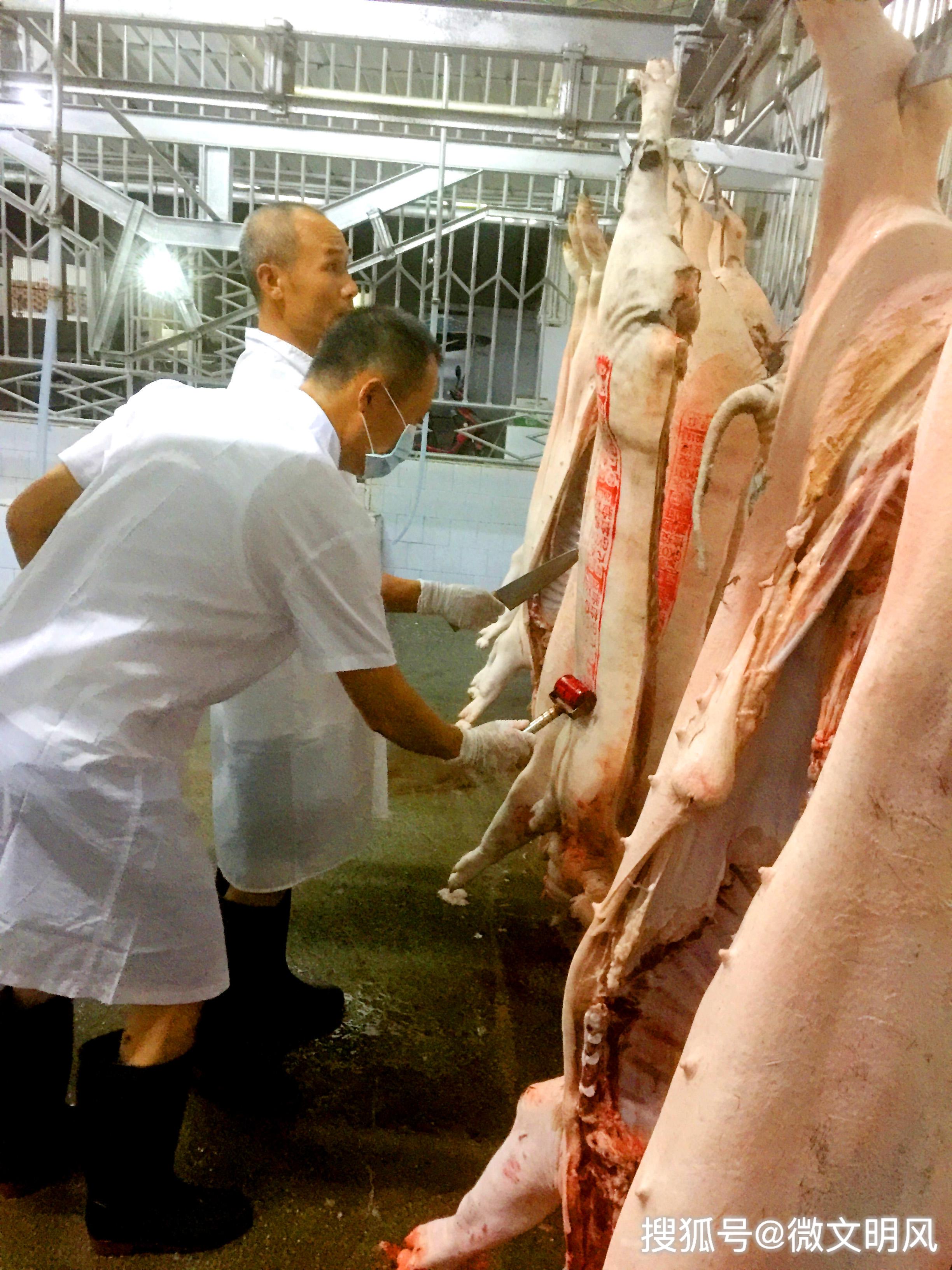 确保放心肉安全湛江经开区强化生猪屠宰场整治和规范管理