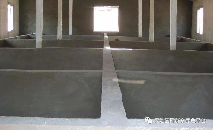 环保风暴 非洲猪瘟,让养猪户变成养龟户《养殖新闻动态》