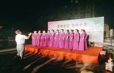 蒋王街道丨余林社区开展第二届社区邻里节纳凉晚会社团表演活动