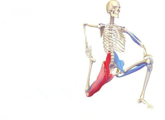 康复必备肌肉深度拉伸康复训练图解