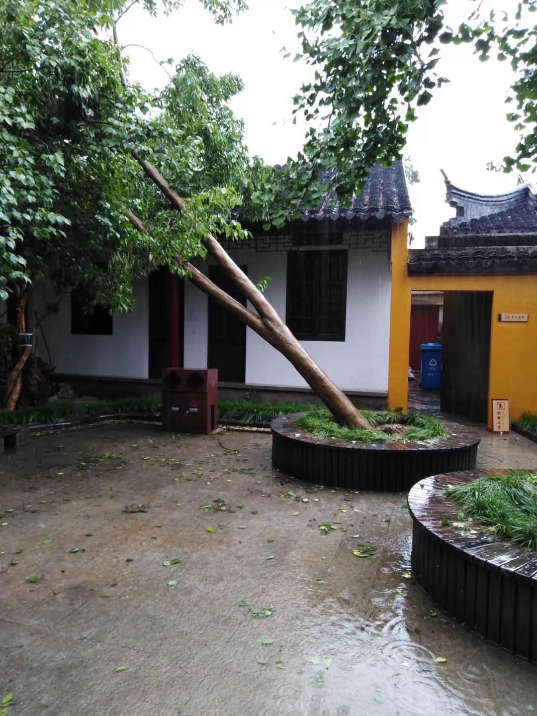 光福景区阶段重点工作一起看看有哪些?