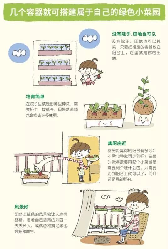 救心菜的种植方法图片