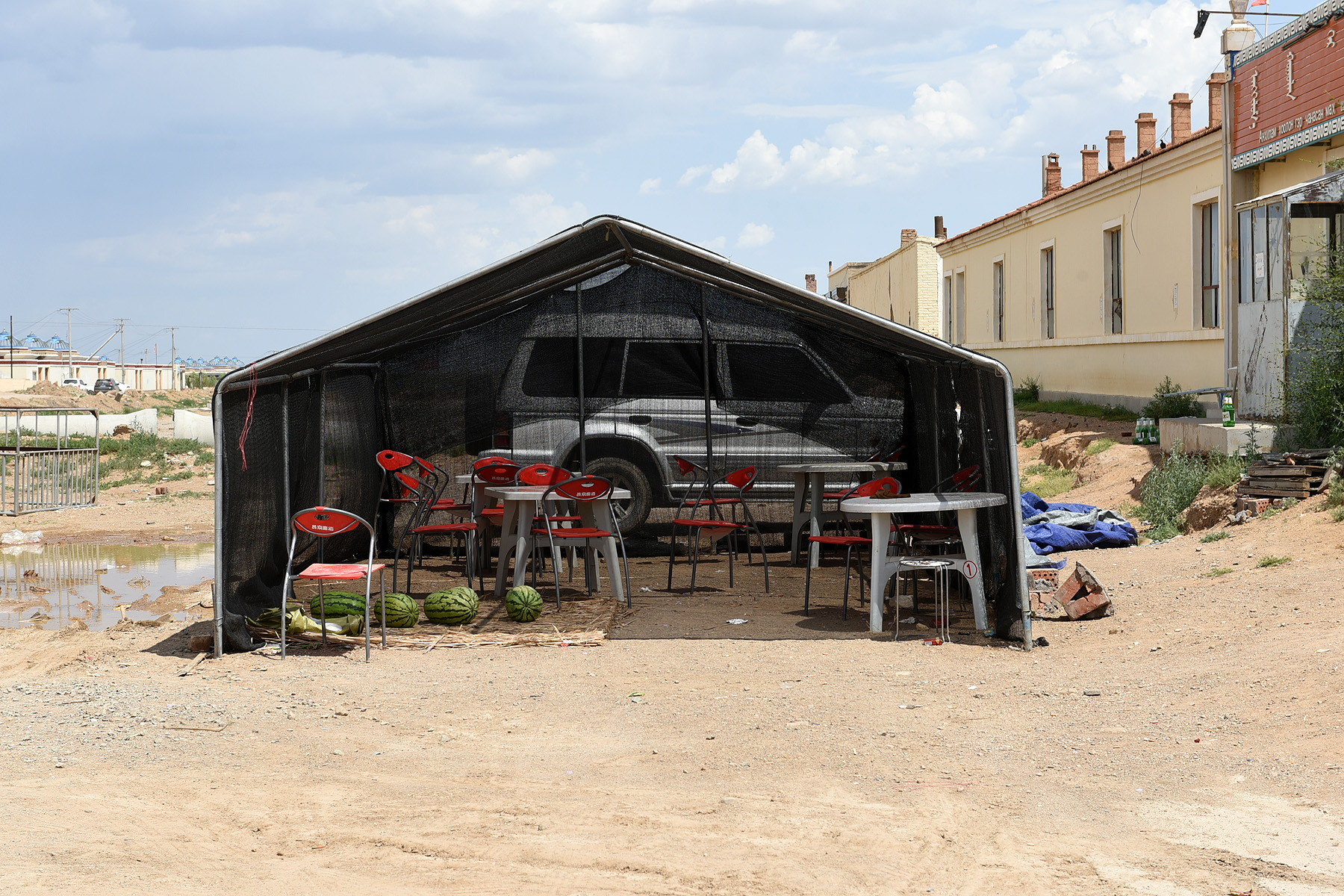 鸽子视角的个人展示页