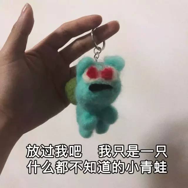 谁欺负你了 ▼怀疑上面的妙蛙种子杀手也对胖丁下手了 ▼妙蛙种子