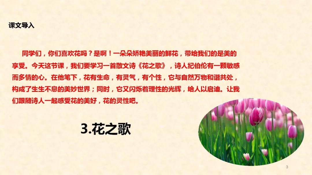 部编版六年级语文上册第4课《花之歌》图文讲解_大自然