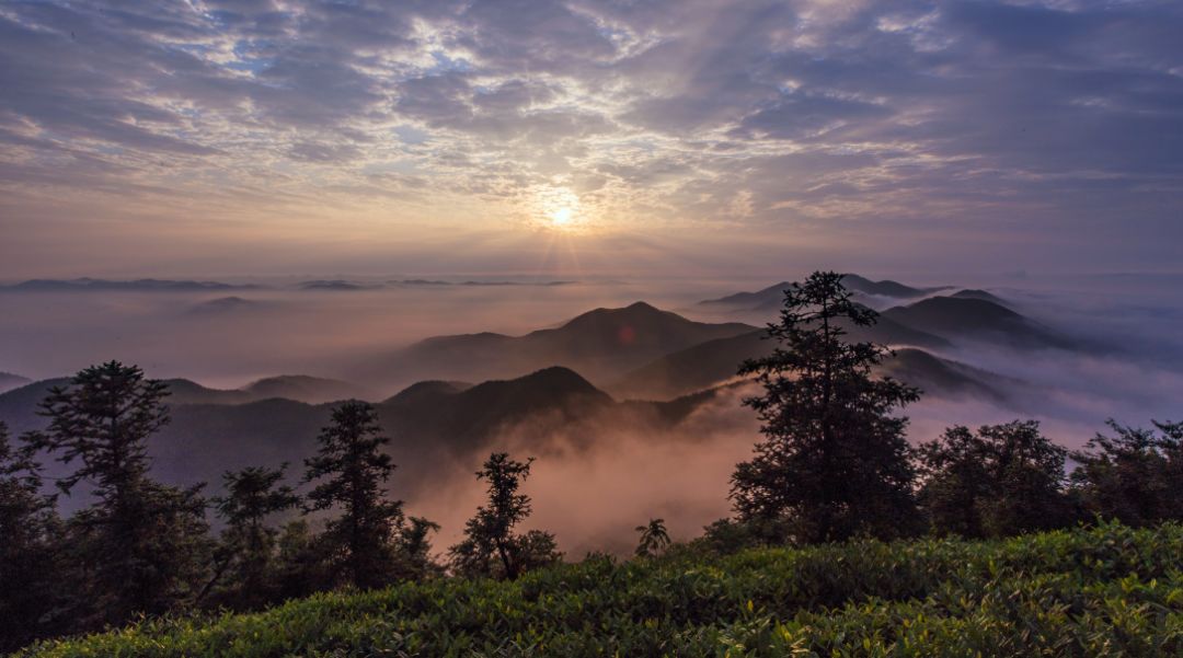 《醇香千年话乡愁/梁奕建▲三等奖《灯光扮靓陈武帝/王斌美图美景