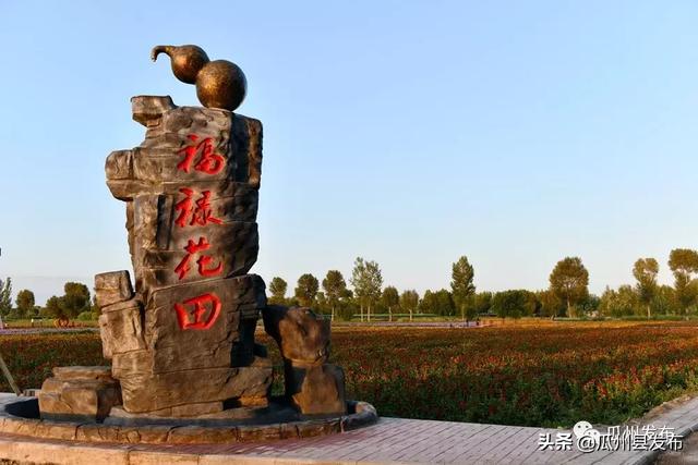 繁花似锦迎宾朋丨瓜州县三道沟镇首届福禄花田生态观光文化艺术节开幕