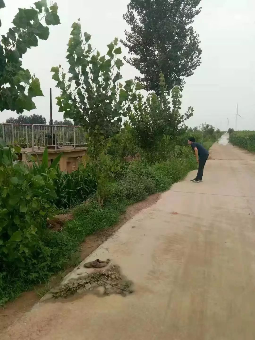 乐陵人众志成城齐心勒马风雨中感谢他们坚守始终