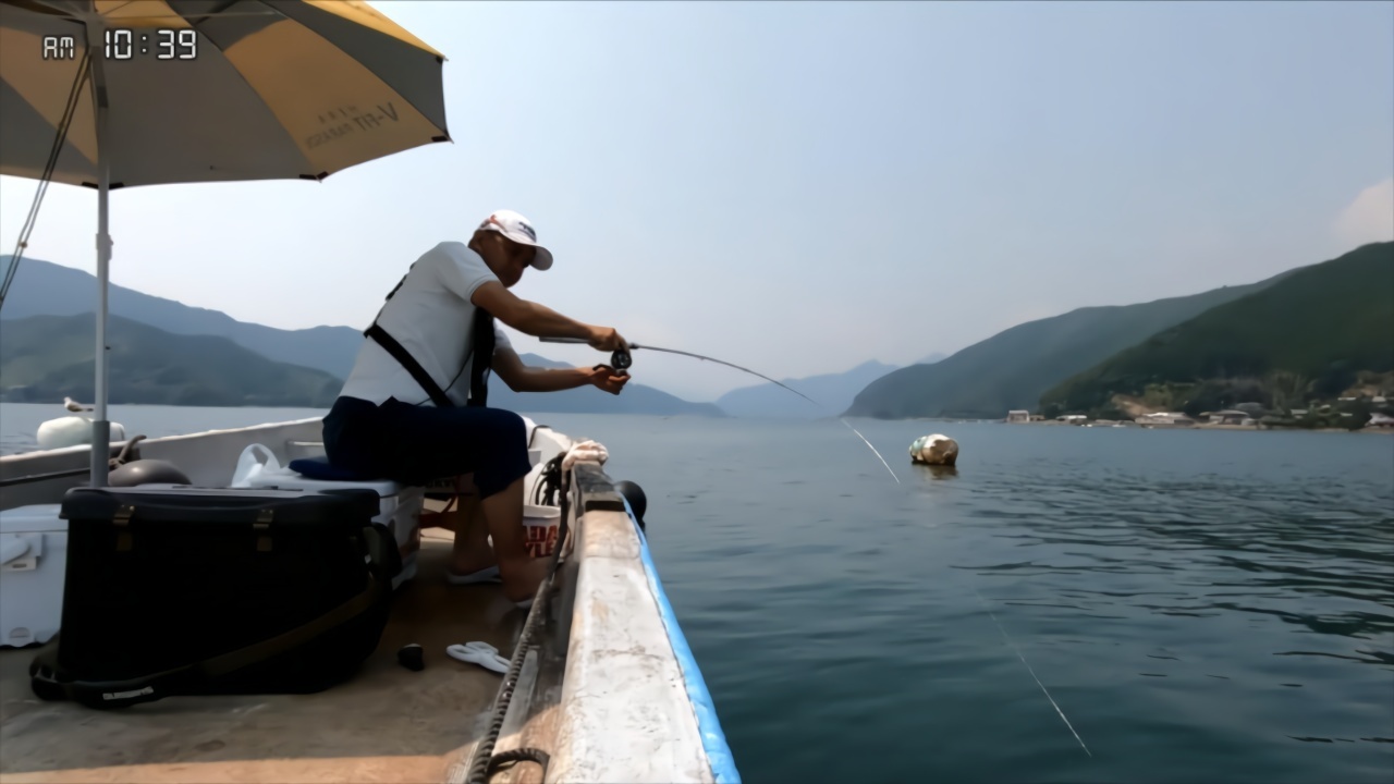 超清晰的筏钓黑鲷竿尖动作提竿溜鱼看着就手痒