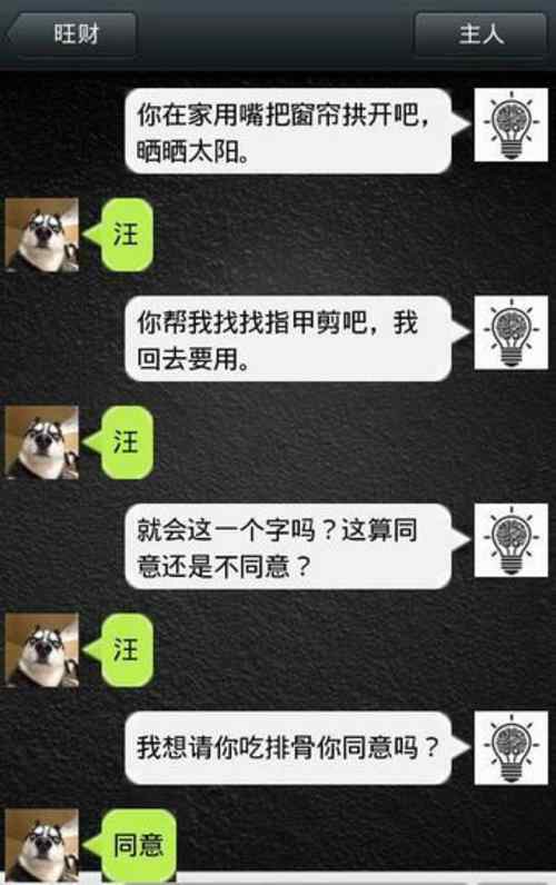 狗狗发微信已笑尿