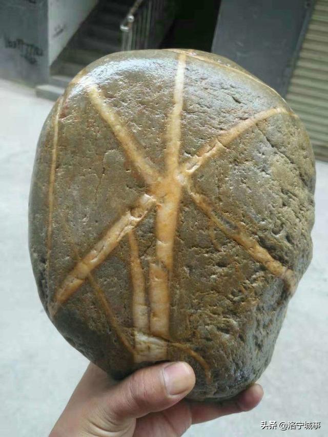 洛阳洛宁农民曲建涛收藏河洛奇石,10万元三块都不肯卖_石头