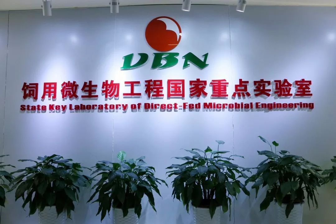 招募令 | 加入神爽, 距你想要的未来,只有一步之遥!_水产