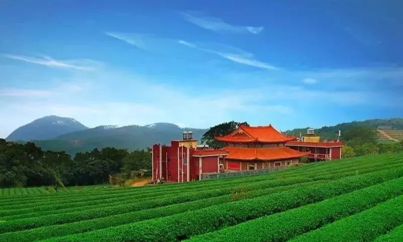 厦门这处世外桃源,人少景美,超适合一日游!