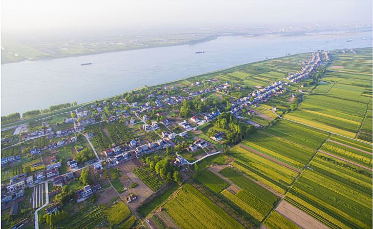 周二特价日 | 稻场三周年庆,预热,稻场明星产品——百里洲砂梨包邮价