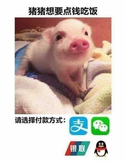 来一波【要钱】表情包:拿着去讨生活费吧
