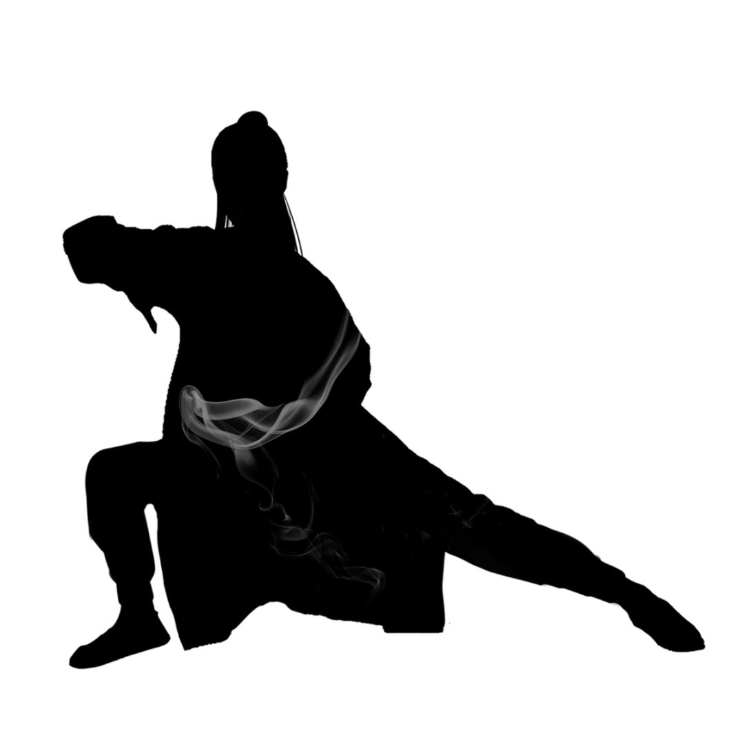 太极拳公开赛集体比赛项目结束宝鸡拳友对神木拳友提出表扬