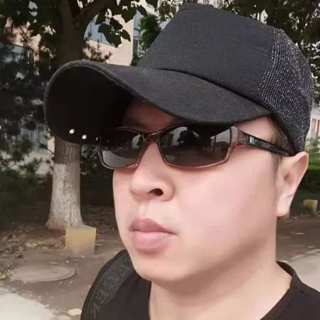 刘辉名作映日荷花别样红