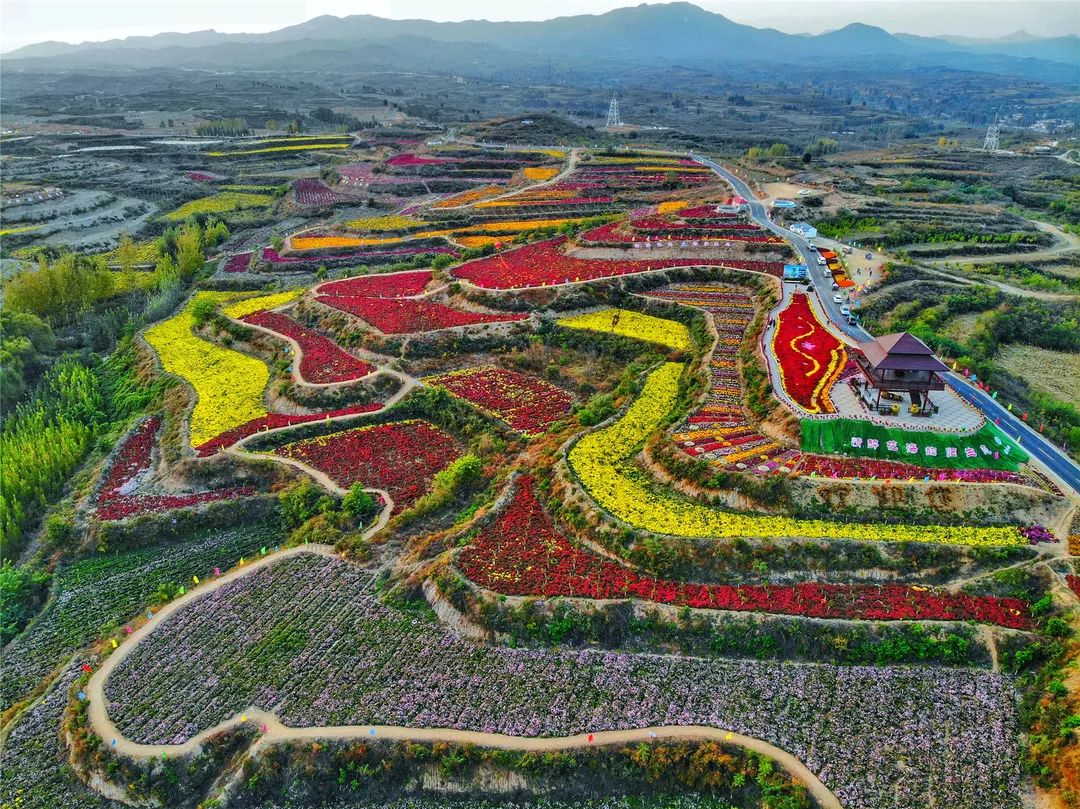 旅发大会观摩项目一丨抱香谷四海八荒真正的梯田花海秘境百里画廊美景