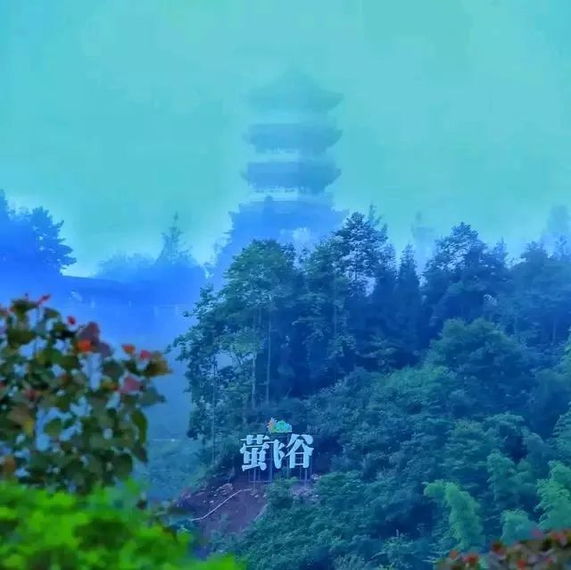 一日游周六绵竹清平萤飞谷点亮夏日的夜空