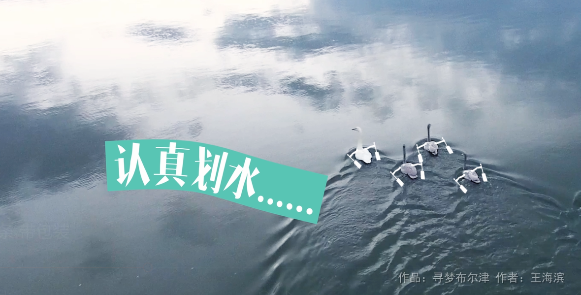 太空人原创设计包装设计搜狐2019中国无人机影像大赛趣