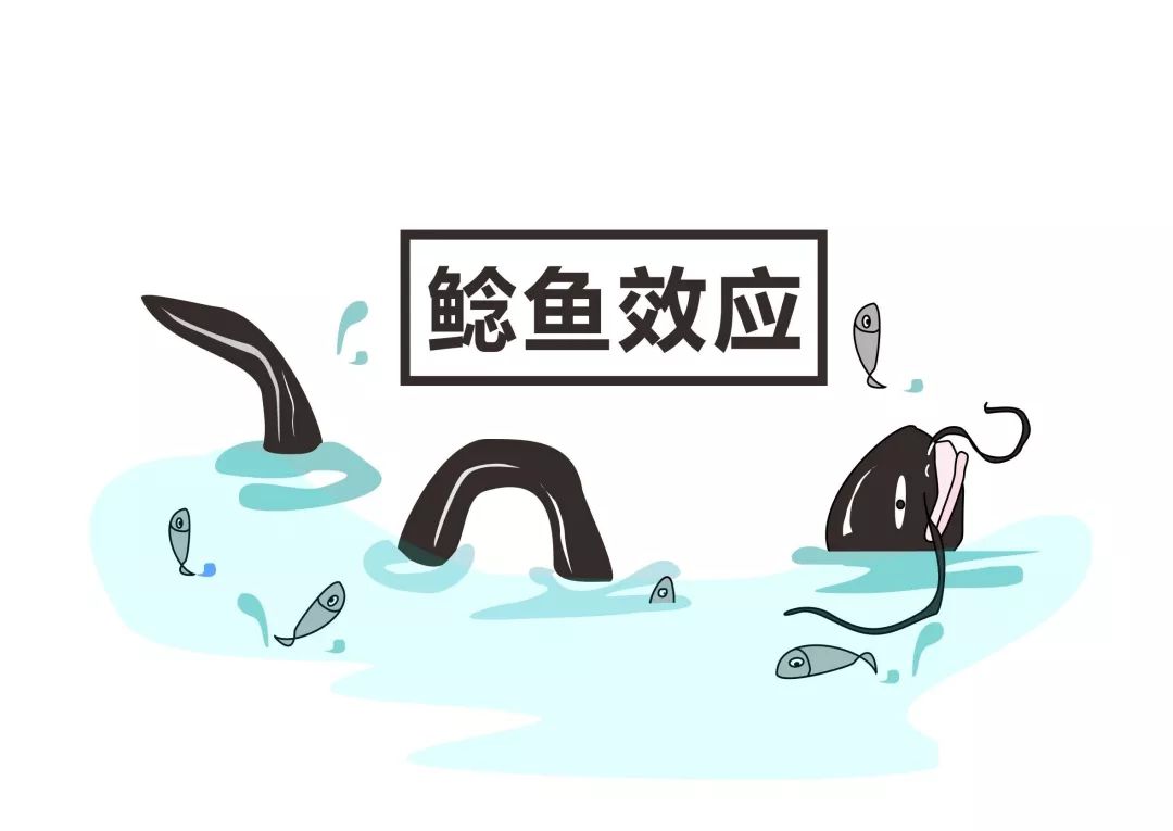 腾讯阿里的鲶鱼效应