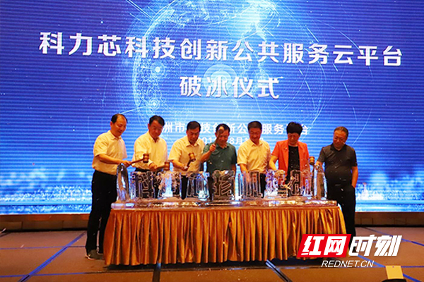 株洲网站建设专家 来自搜狐网