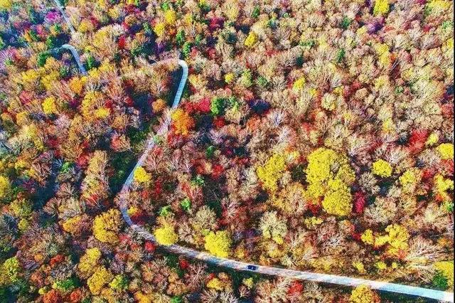 白山四方山风景区图片