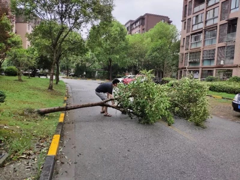 新凯二村图片