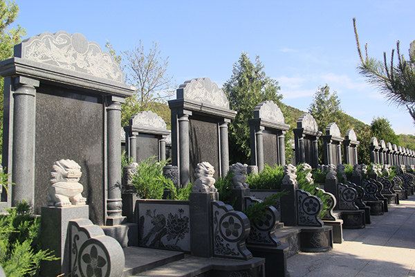 为什么墓地要摆放石狮子?有哪些讲究