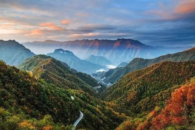 大自然巡礼 | 重庆大巴山国家级自然保护区