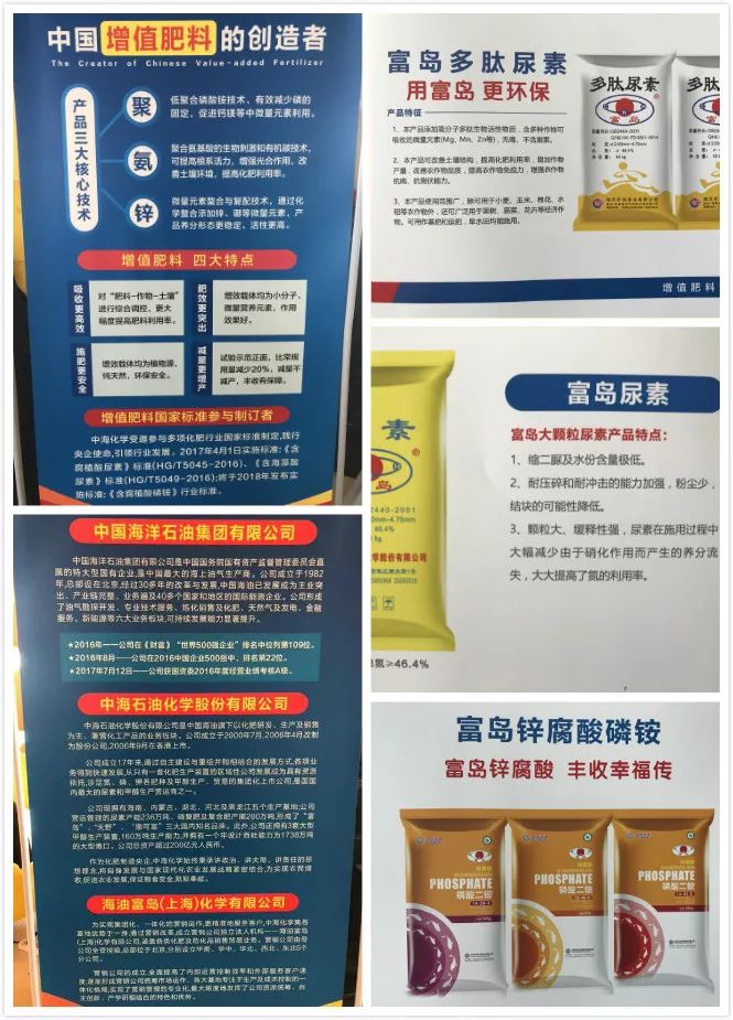 一场观摩会万亩薯花开富岛马铃薯专用肥助力沽源马铃薯产业发展
