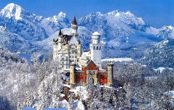 会员福利一封来自维也纳皇家宫廷舞会的邀请函