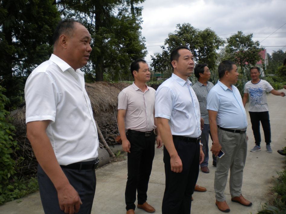 界首镇督查推进三拆三整治三提升