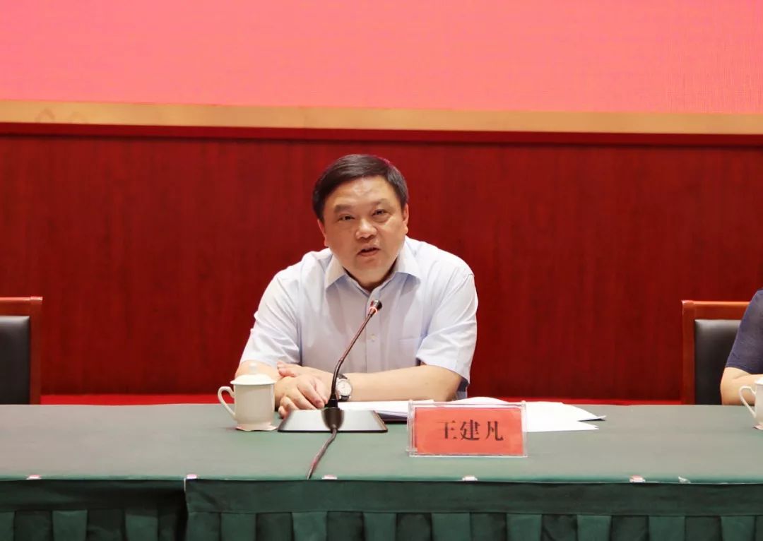 座谈会上,王建凡向全国人大代表,政协委员汇报了2019年上半年全国预算