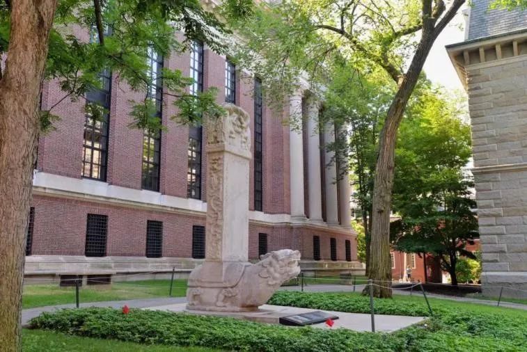 行走的课堂becomingawildcats下