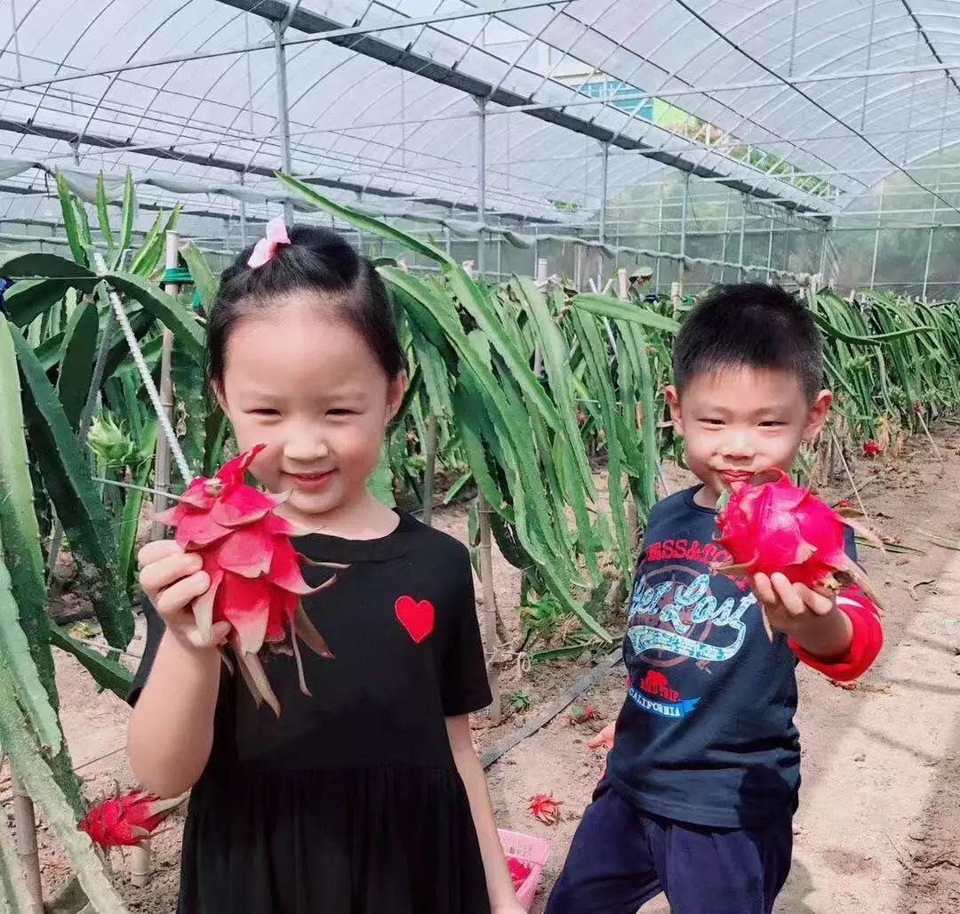 绿意盎然：鲜花草坪种植行业的春天