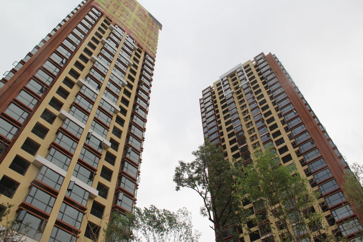 以前买房被忽视的凤凰层现在成都年轻人抢着买