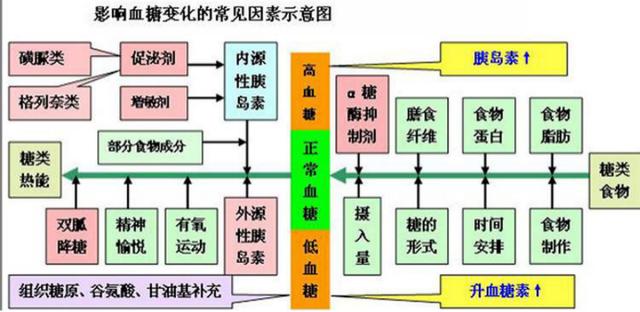 对血糖有着不同的影响,所以饮食要尽量多元化,营养更加丰富一些